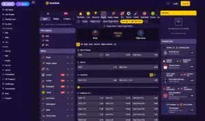 SpinBet Casino sports betting odds and markets overview